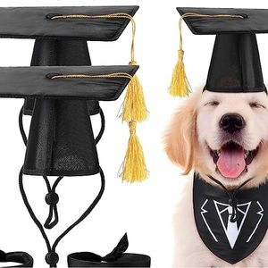 Dog graduation cap